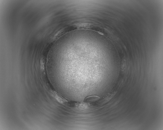X0000078010282200611101829
