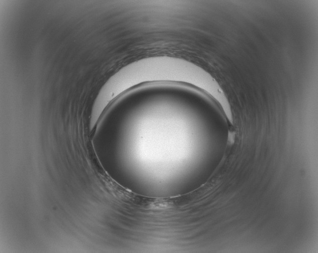 X0000078010283200611101829