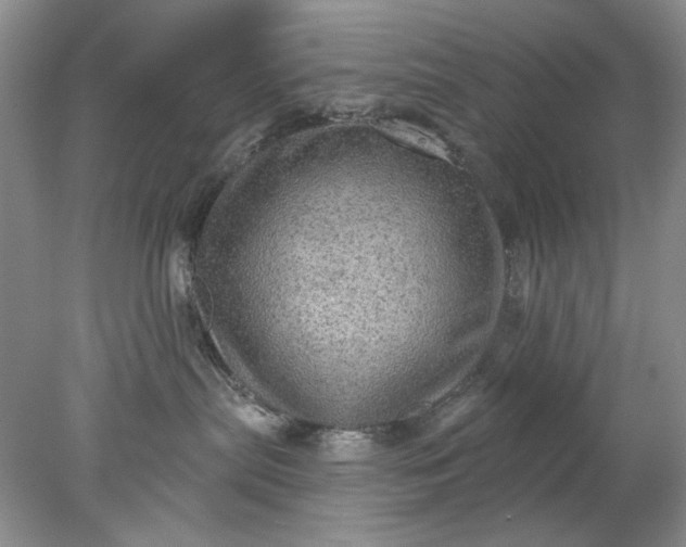 X0000078010287200611101829