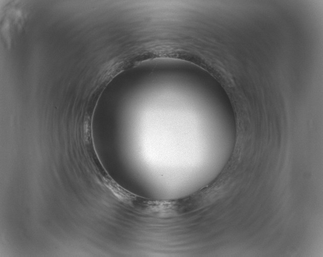 X0000078010288200611101829
