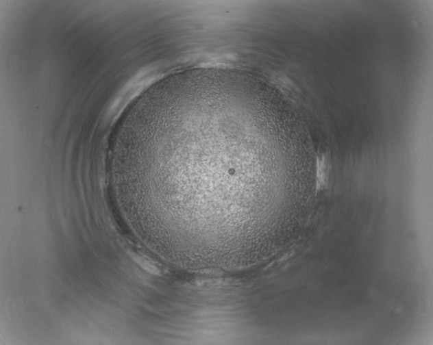 X0000078010291200611101828