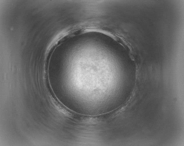 X0000078010293200611101828