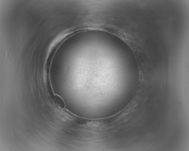 X0000078010294200611101828
