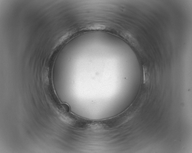 X0000078010300200611101828