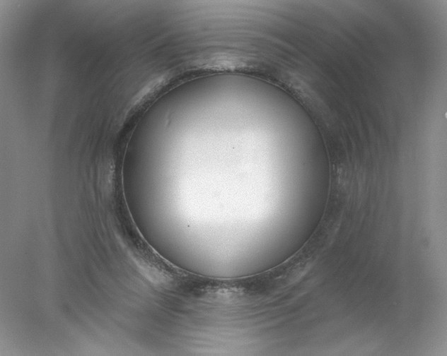 X0000078010304200611101828