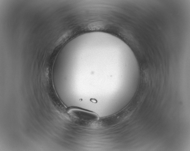 X0000078010308200611101828
