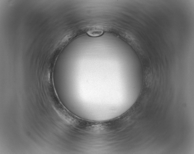 X0000078010310200611101828