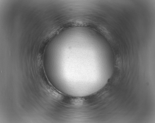 X0000078010318200611101827