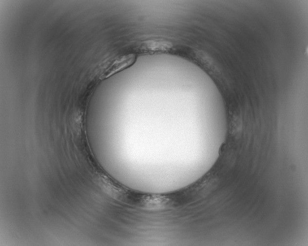 X0000078010321200611101827