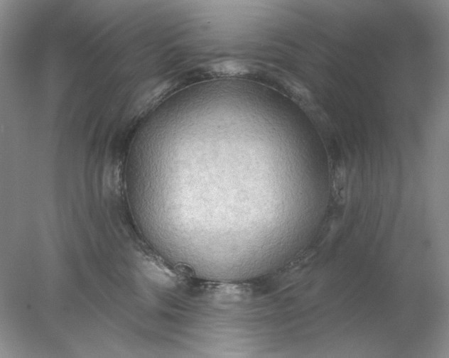 X0000078010330200611101827