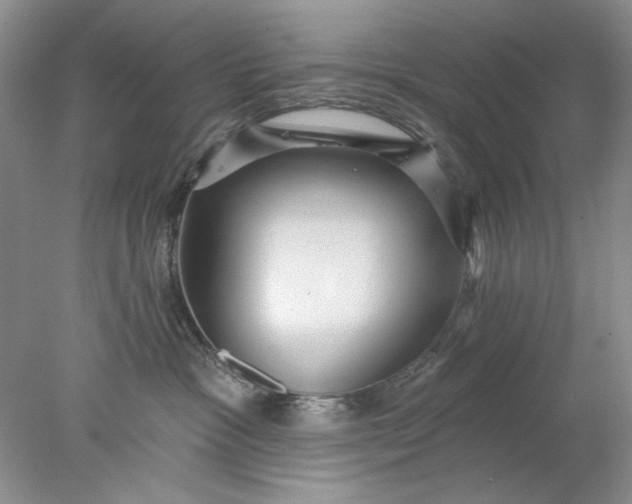 X0000078010333200611101827