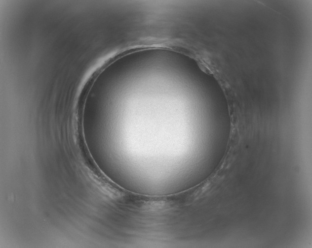 X0000078010342200611101826