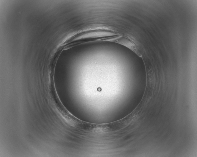 X0000078010350200611101827