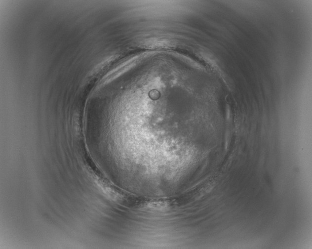 X0000078010353200611101827