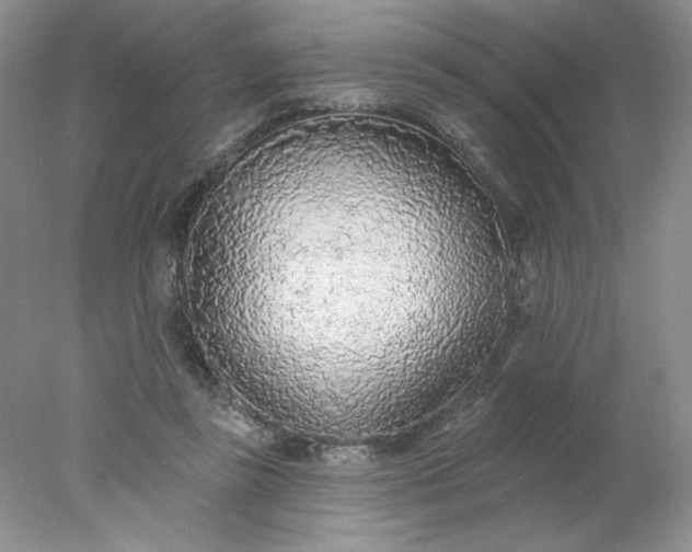 X0000078010355200611101827