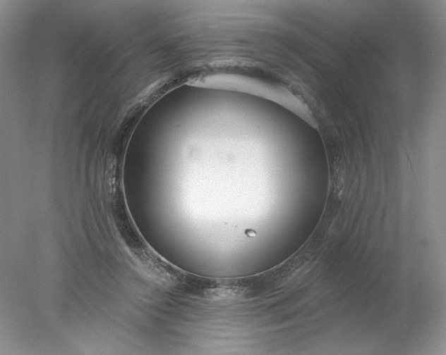 X0000078010356200611101827