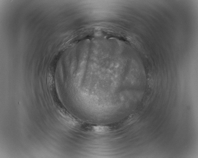 X0000078010371200611101827