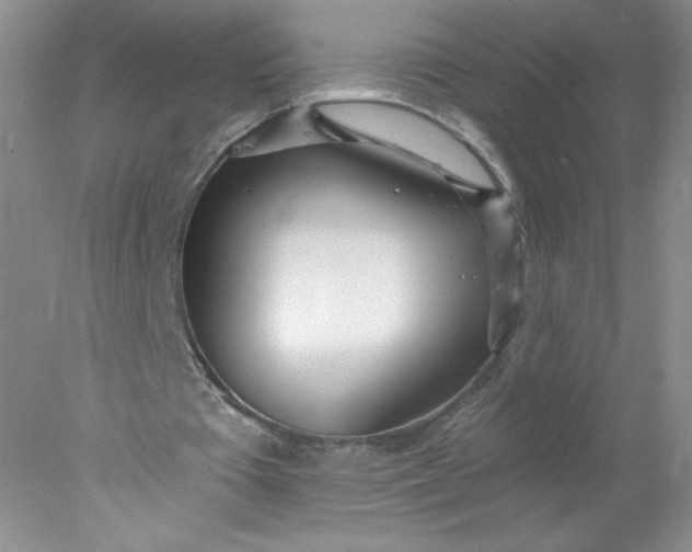 X0000078010385200611101826