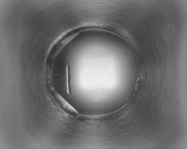 X0000078010388200611101826