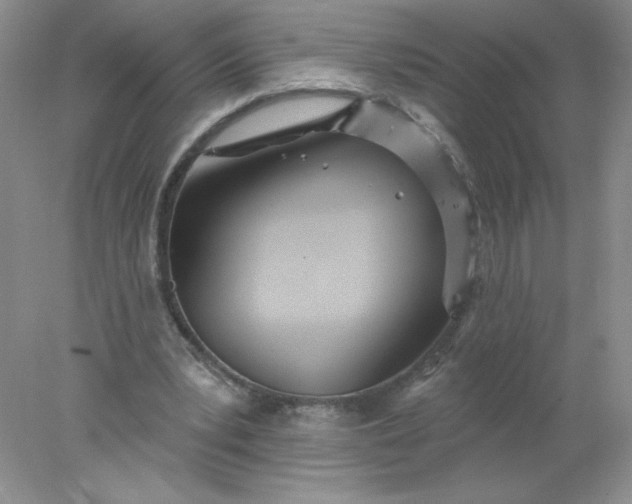 X0000078010391200611101826