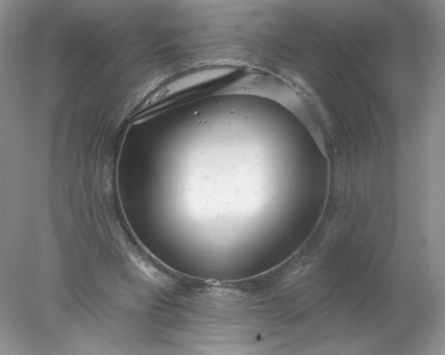 X0000078010393200611101826