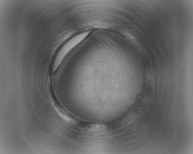 X0000078010398200611101826