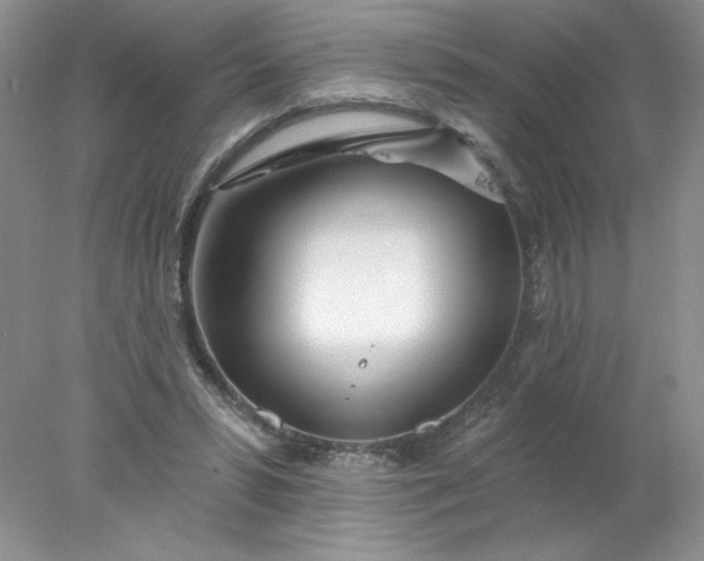 X0000078010399200611101826