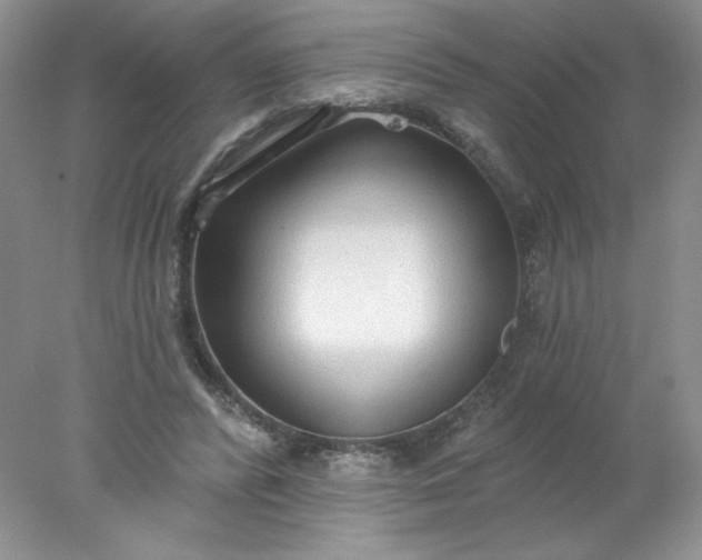 X0000078010400200611101826