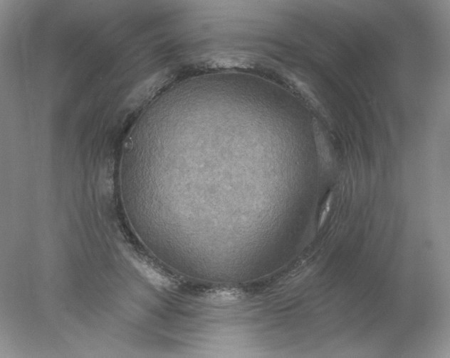 X0000078010402200611101826