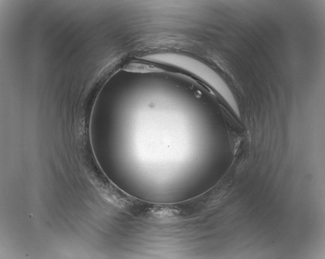 X0000078010407200611101826