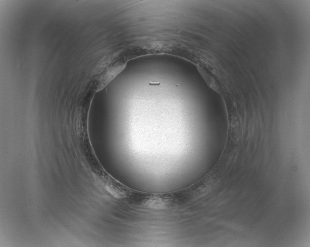 X0000078010416200611101826
