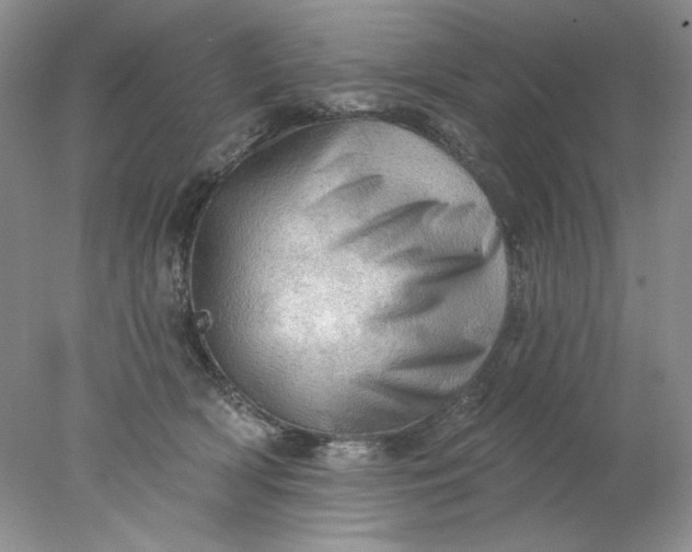 X0000078010418200611101826