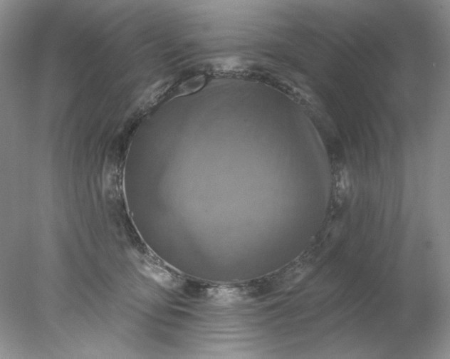 X0000078010419200611101826
