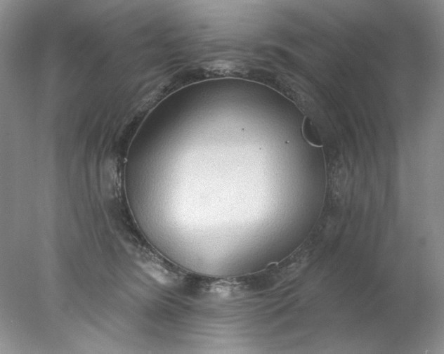 X0000078010420200611101826