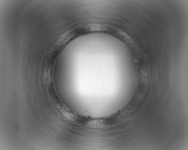 X0000078010422200611101826