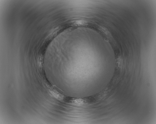 X0000078010423200611101826