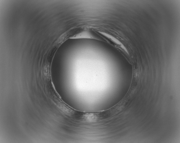 X0000078010425200611101826