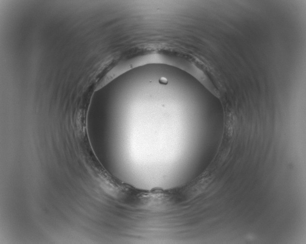 X0000078010428200611101826