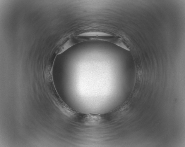 X0000078010429200611101826