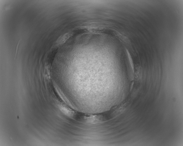 X0000078010430200611101826