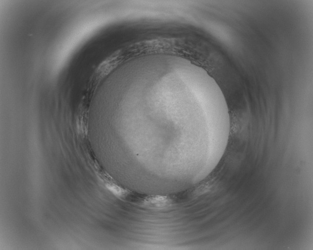 X0000078010431200611101826
