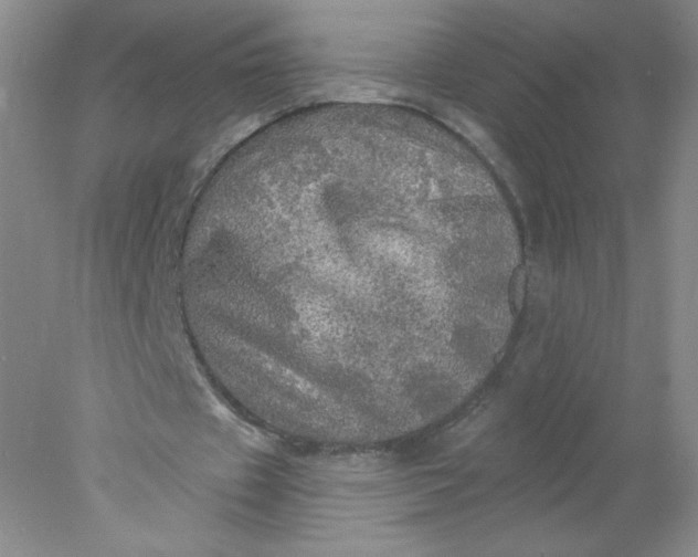X0000078010433200611101825