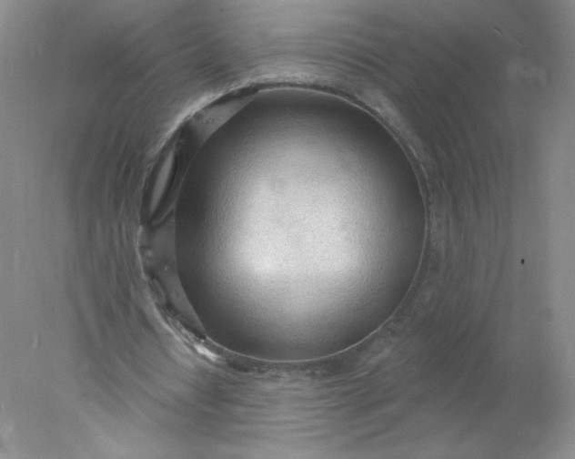 X0000078010434200611101825