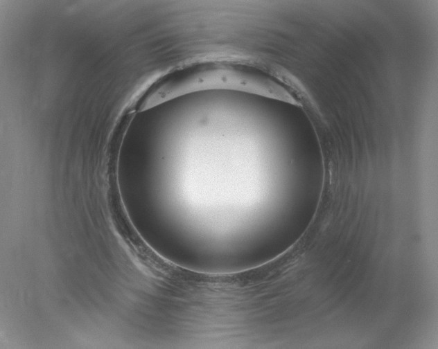 X0000078010436200611101825