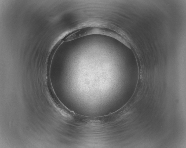 X0000078010438200611101825