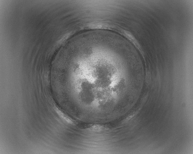 X0000078010441200611101825