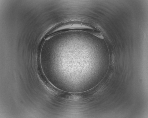 X0000078010444200611101825