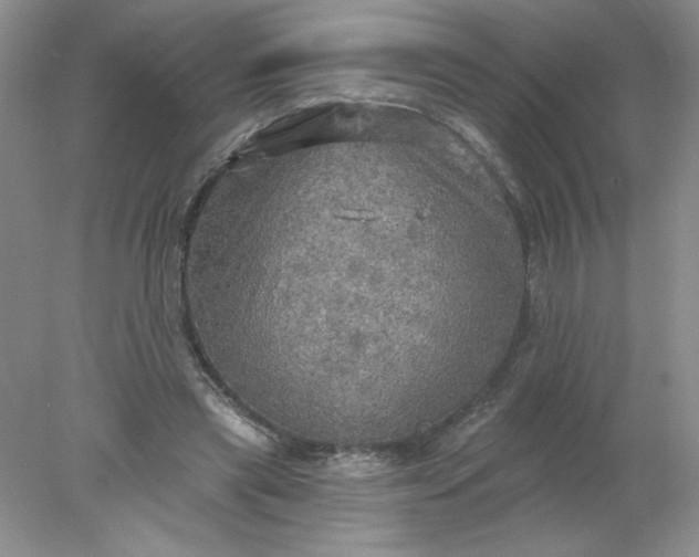 X0000078010445200611101825