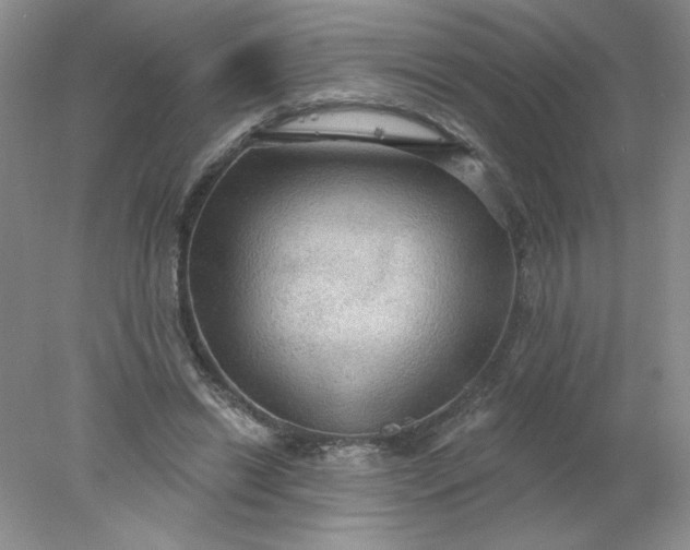 X0000078010446200611101825