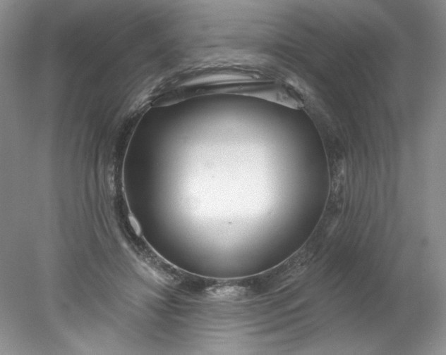 X0000078010452200611101825